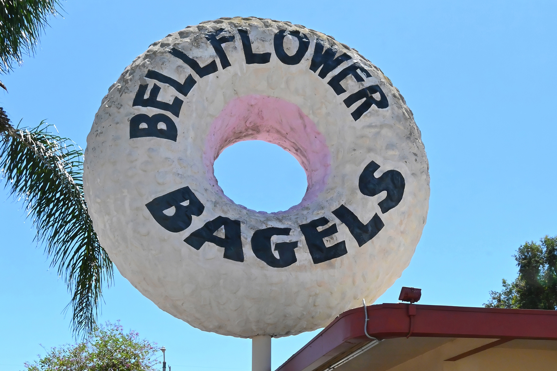 Bellflower Bagels