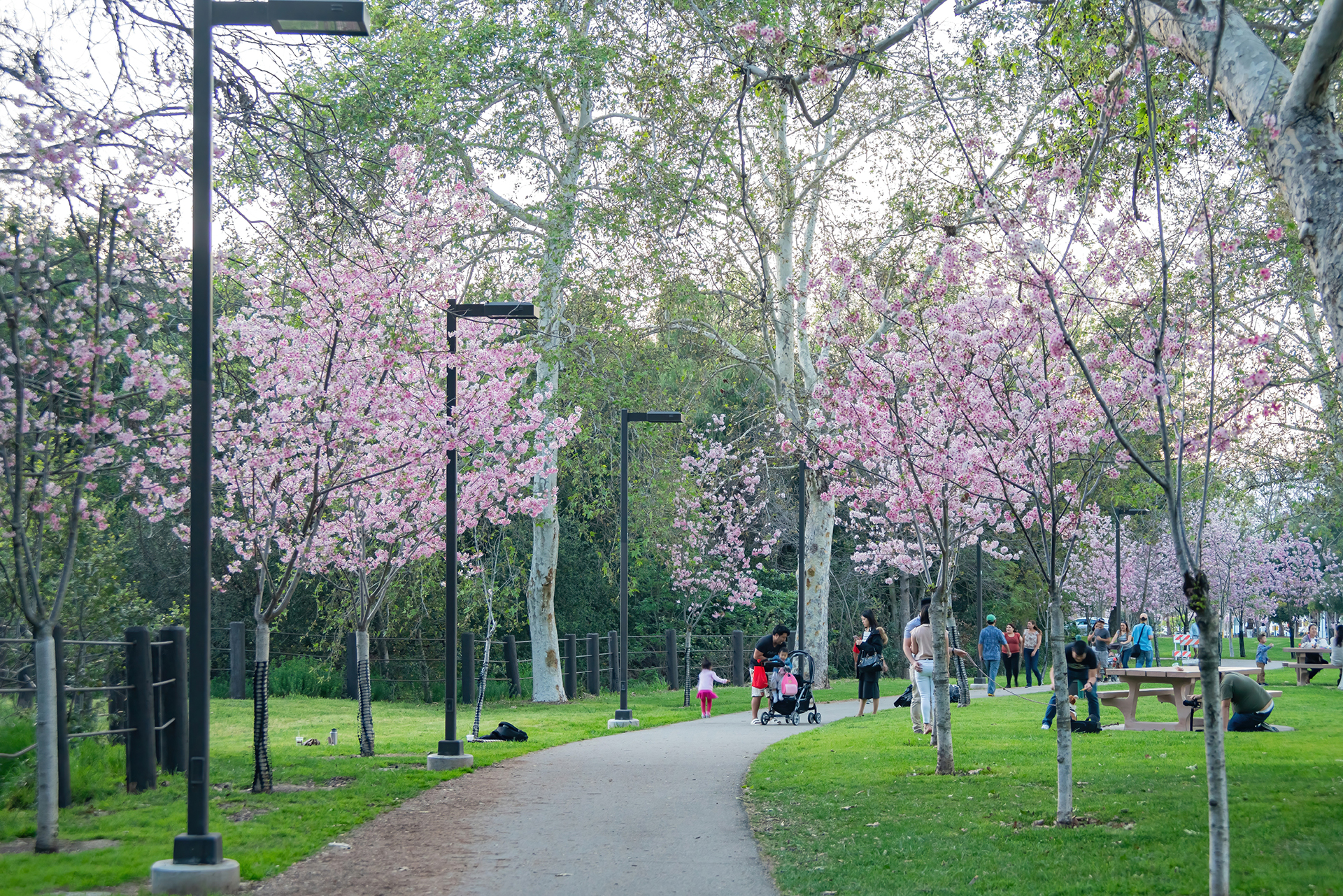 Peter F. Schabarum Regional Park