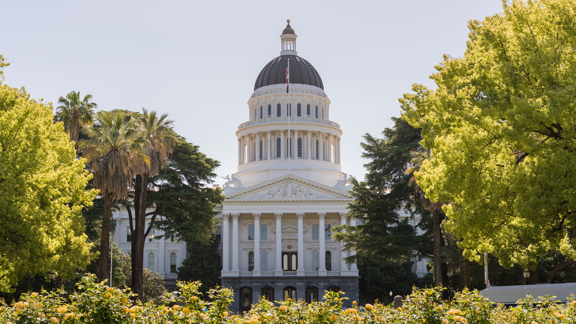 SD 30 -  Senator Kydney Kamlager