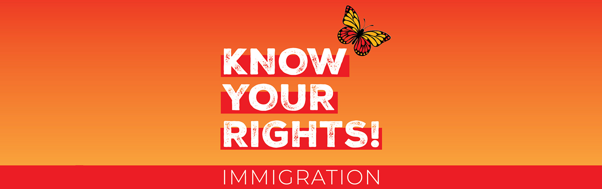 Know Your Rights Graphic