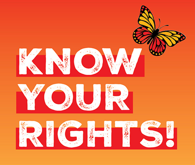 Know Your Rights Graphic